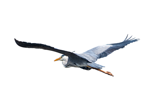 Die besten tricks, um extrem günstige flugtickets zu finden